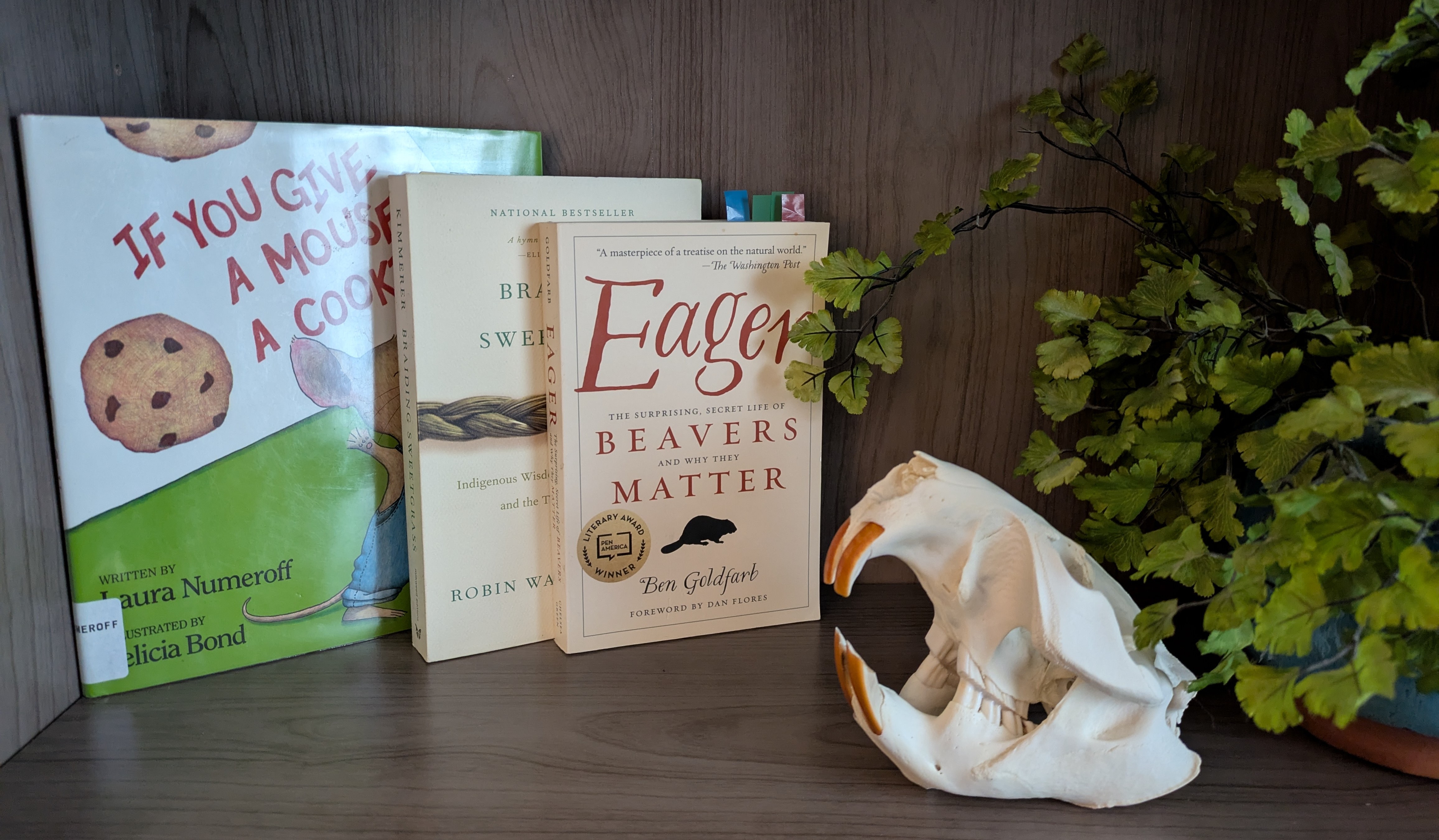 Alison Pearce Stevens—When Beavers Move In | ScienceWriters (www.NASW.org)