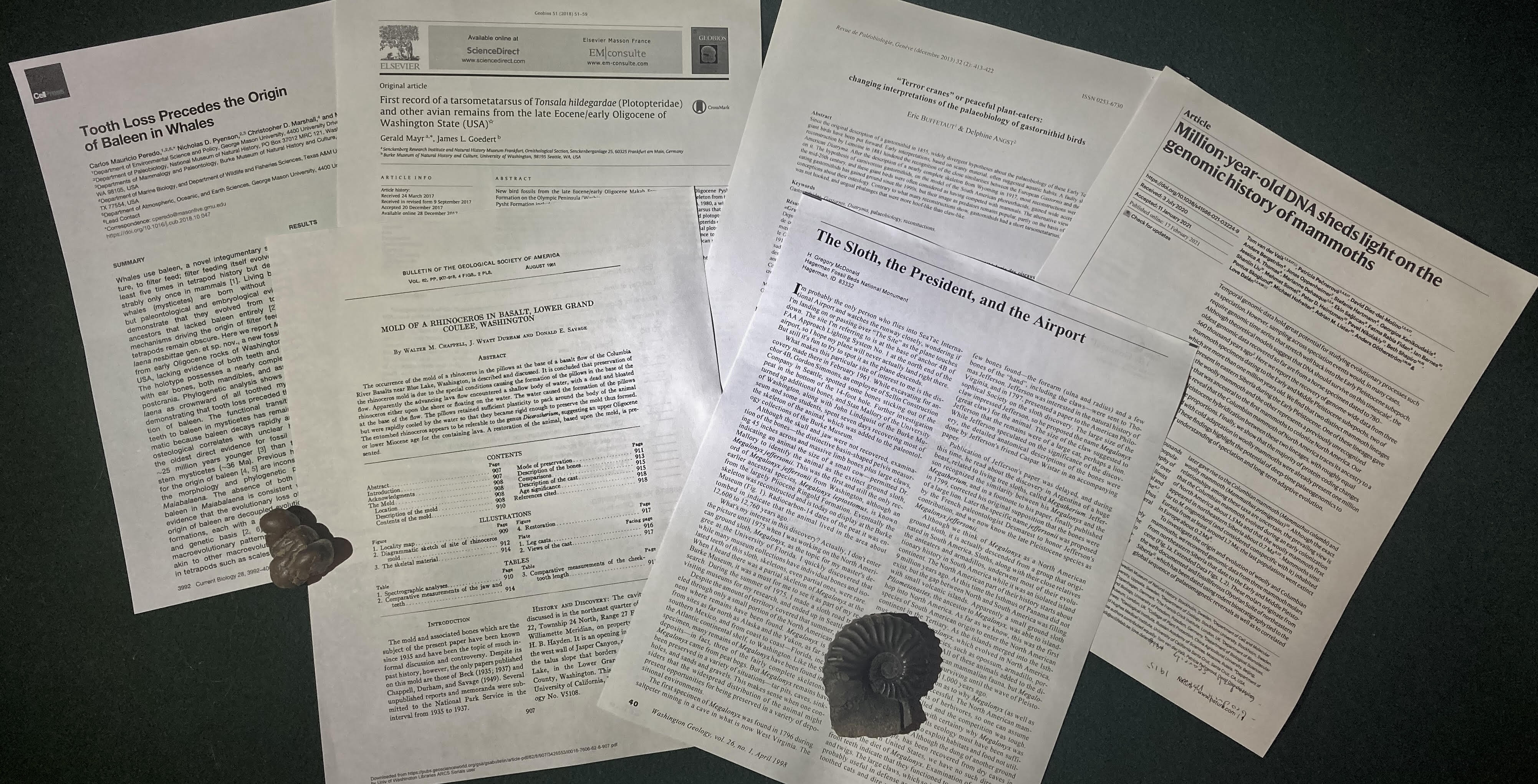 Elizabeth A. Nesbitt and David B. Williams—Spirit Whales & Sloth Tales