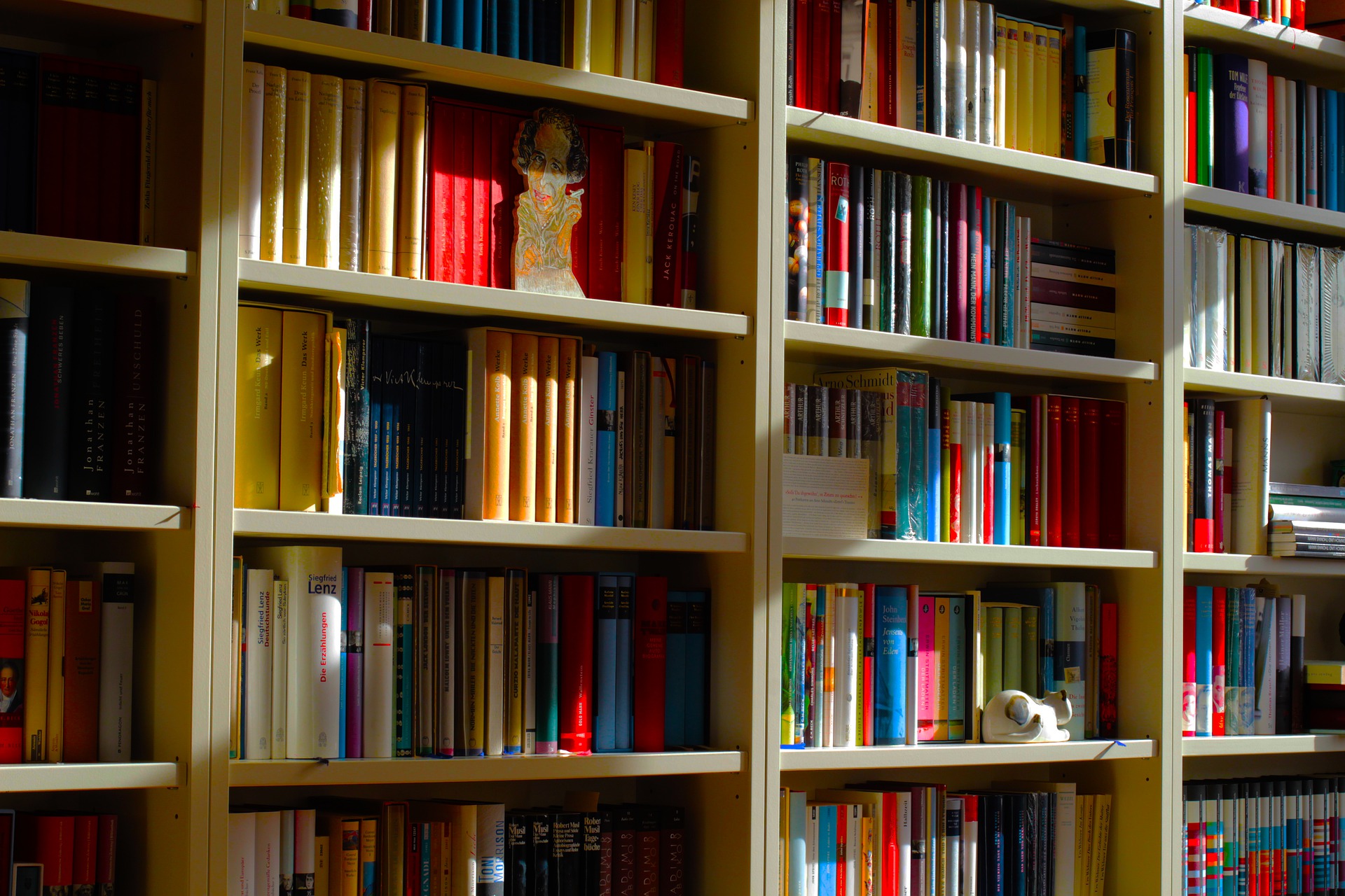 Куб книги библиотека. Книжные полки. Полка для книг. Полка книжная. Библиотека полки.