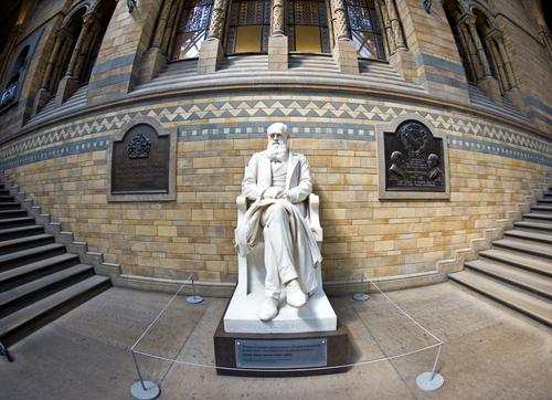 What Darwin Had To Say About Language ScienceWriters www NASW 