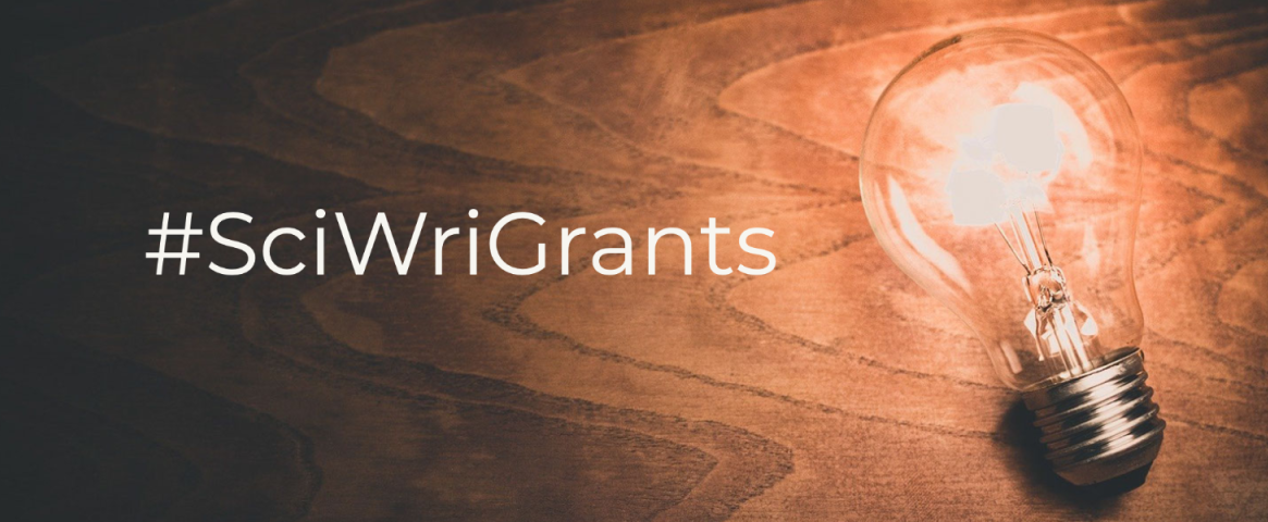 Photo illustration of a clear incandescent light buld on a polished wood grain surface with the hashtag #SciWriGrants superimposed in white.