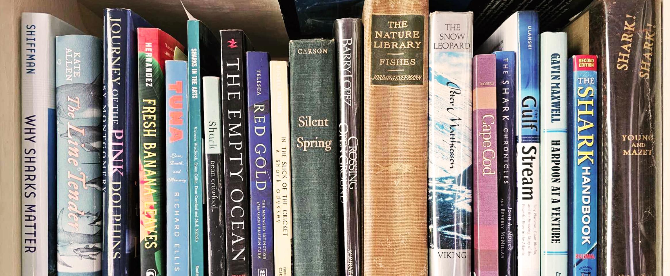 Rectangular photo of Ret Talbot’s office bookshelf showing titles exploring sharks and other marine biology topics. Photo credit Ret Talbot.