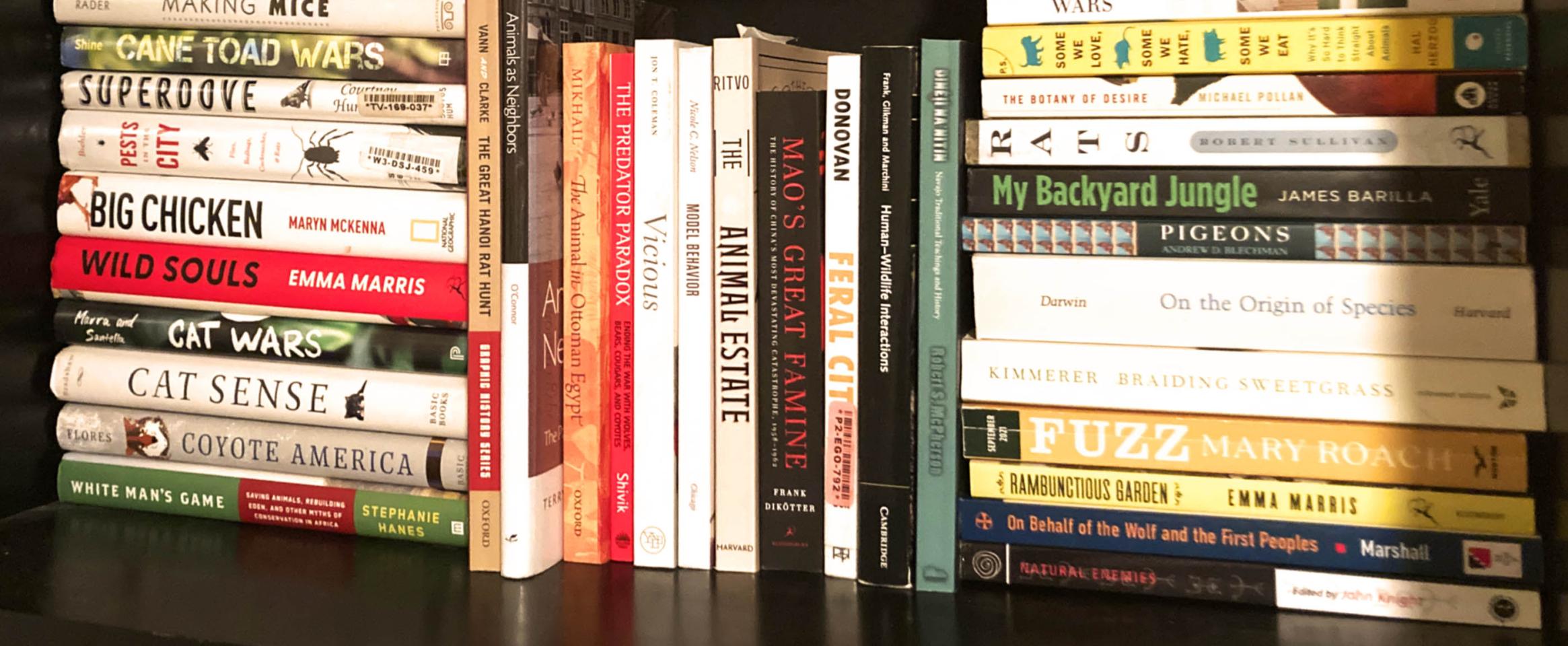 Horizontal photo of a bookshelf of Bethany Brookshire, with book titles stacked vertically and horizontally.