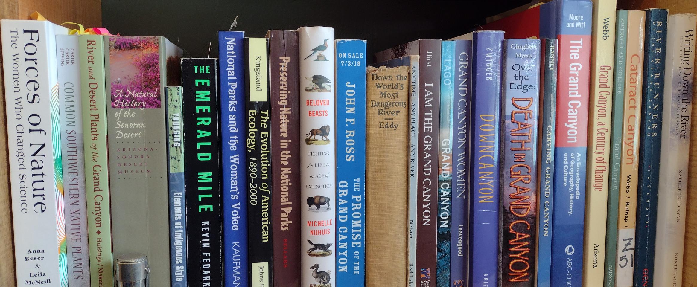 Rectangular photo of Melissa Sevigny’s office bookshelf showing books on the Grand Canyon, botany, and women in science, with waterproof silver match case used by Lois Jotter on 1938 expedition and four Arizona rocks. Photo credit: Melissa Sevigny.