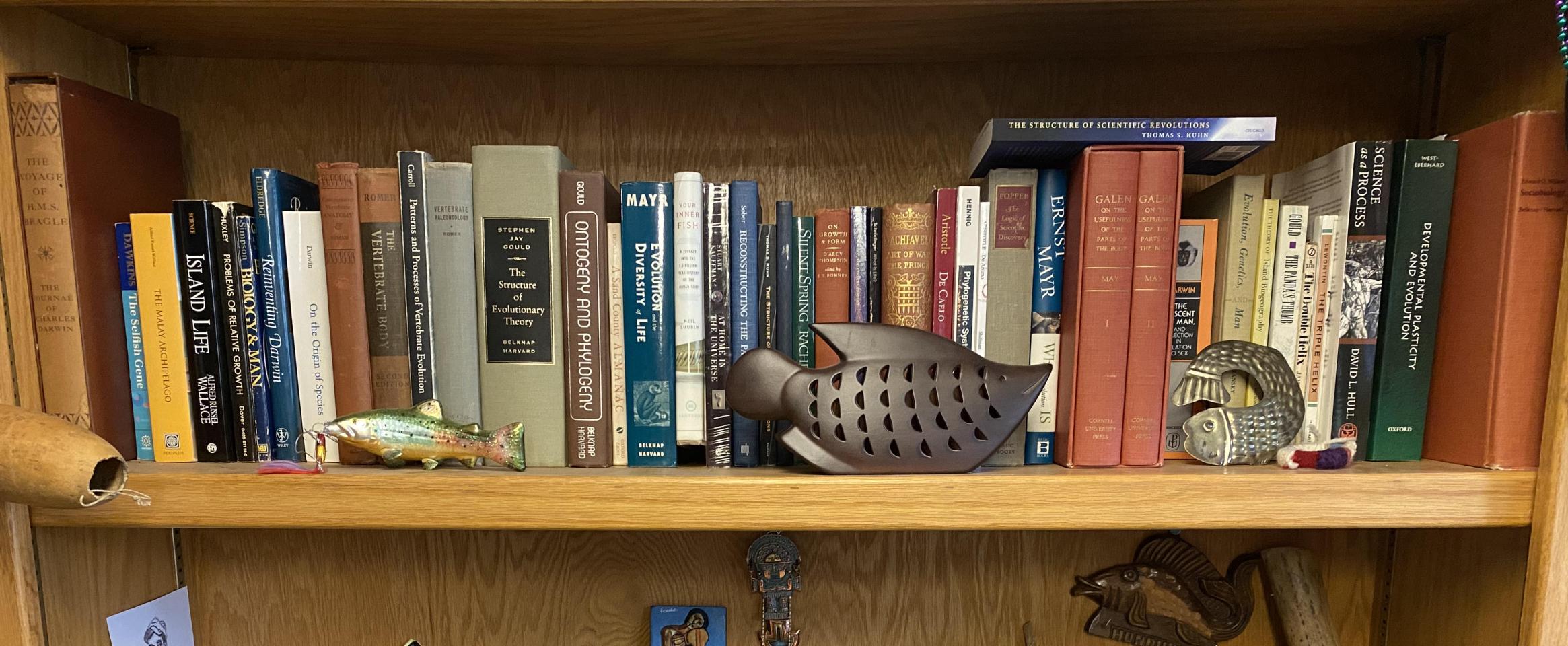 Rectangular photo of Prosanta Chakrabarty’s office bookshelf showing works on evolution, genetics, biology, and the natural world, along with personal memorabilia. Photo credit Prosanta Chakrabarty