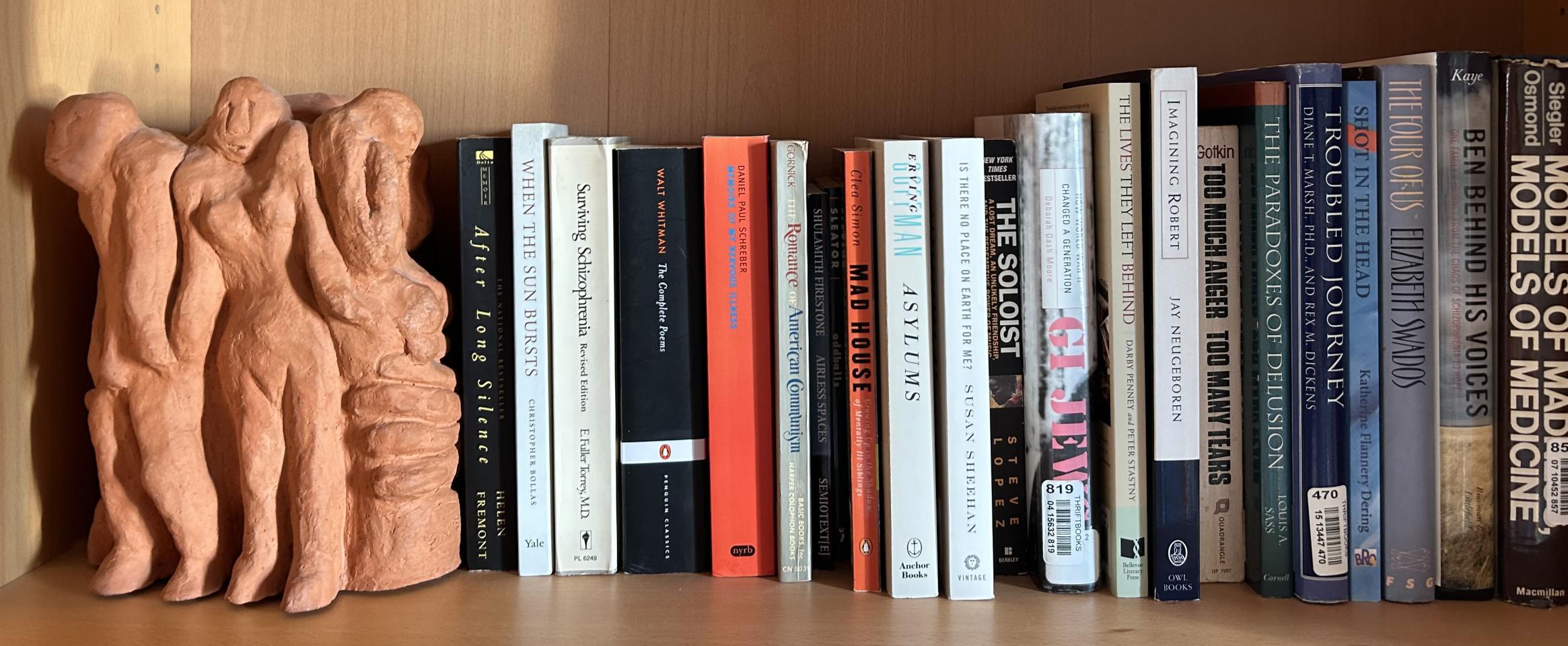 Rectangular photo of Deborah Kasdan’s office bookshelf showing books on chronic mental illness topics including treatment as well as memoirs. Photo credit Deborah Kasdan.