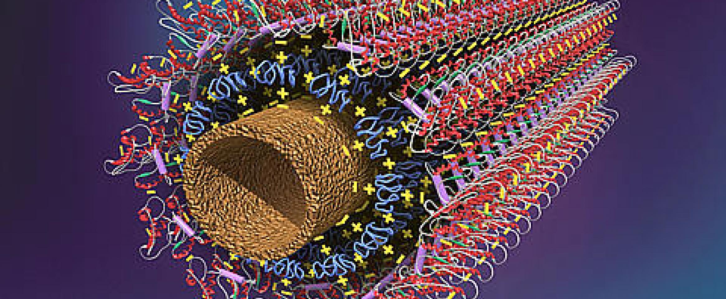 Carbon nanotube