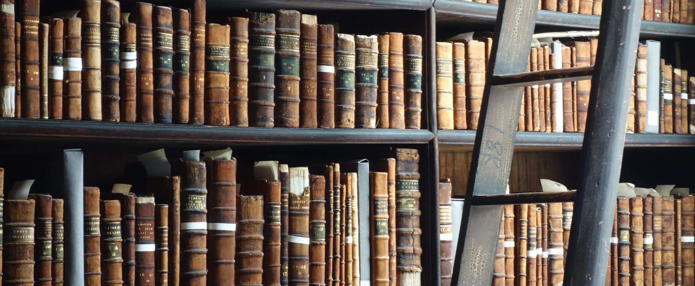 Library stacks with ladder