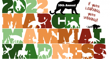 March Mammal Madness logo