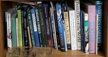 Rectangular photo of Sneed B. Collard III’s office bookshelf with titles on birds, butterflies, lizards, and other species, as well as on Darwin and the natural environment. Photo credit Sneed B. Collard III.
