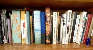 Rectangular photo of Chris Berdik’s office bookshelf showing works on noise, sound, silence, acoustics, and the built environment. Photo credit: Chris Berdik.