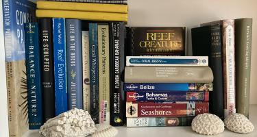 Rectangular photo of Lisa S. Gardiner’s office bookshelf showing books on corals, reef evolution, seashores, evolutionary patterns, Florida, the Caribbean, and the Bahamas, along with two waterproof yellow notebooks the author used on field trips. Photo credit: Lisa S. Gardiner.