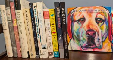 Rectangular photo of Alison Pearce Stevens’ office bookshelf displaying works on dog intelligence, social behavior, genetics, and performance. Photo credit: Alison Pearce Stevens.