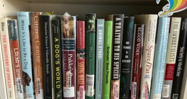Rectangular photo of Melanie Kaplan’s office bookshelf showing works on dog behavior, dog research, animal research, medical research, and society and medicine. Photo credit: Melanie Kaplan.