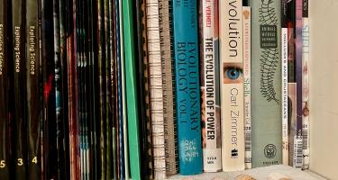 Rectangular photo of Suzanne Sherman’s office bookshelf showing works on evolution, evolutionary biology, shells, mollusks and crustaceans, animals without backbones, and seashore life. The bookshelf also includes a display of similarly shaped seashells, with common cockles, most often found in Northern Europe, on the left, and prickly cockles, most often found along the coast of southwest Florida, on the right. Photo credit: Suzanne Sherman.