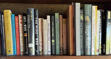 Rectangular photo of Margie Patlak’s office bookshelf showing multiple works with the word “insects” in the title, and several on specific types of insects, including bees, crickets, ants, and moths. Photo credit: Margie Patlak.
