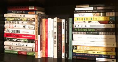 Horizontal photo of a bookshelf of Bethany Brookshire, with book titles stacked vertically and horizontally.