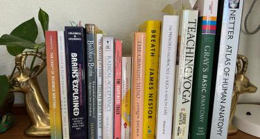 Rectangular photo of Brittany Fair’s office bookshelf showing books on yoga, the brain, anatomy, and science writing. Photo credit: Brittany Fair.