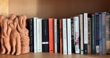Rectangular photo of Deborah Kasdan’s office bookshelf showing books on chronic mental illness topics including treatment as well as memoirs. Photo credit Deborah Kasdan.