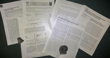 Rectangular photo of Elizabeth Nesbitt’s desk showing scientific papers on fossils. Her research comes from primary sources, such as Geobios, Journal of Vertebrate Paleontology, Current Biology, and Papers in Paleontology. Photo credit: Elizabeth Nesbitt 