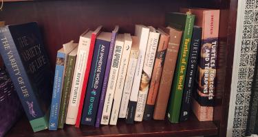 Rectangular photo of Devin Reese’s office bookshelf showing works on turtles, reptiles, amphibians, Darwin, the Galapagos, and the environment. Photo credit: Devin Reese.