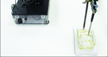 A benchtop instrument with a probe measuring pigment in tiny coral fragments floating in a glass container.