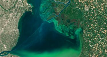 With climate change comes increased health issues for humans, such as harmful algal blooms in freshwater and saltwater ecosystems.