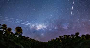 An image of a star-filled blue night sky with several long white streaks across the lower horizon and one bright streak going down vertically from the top. There is a sunflower field in the foreground.
