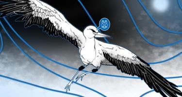 Artistic illustration of an unknown type of bird