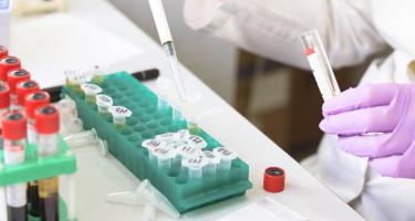 Scientist pipetting solution into Eppendorf tubes
