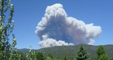 Day one of the Schultz Fire, with smoke rising above evergreens at the top of a ridge near Flagstaff, Ariz..