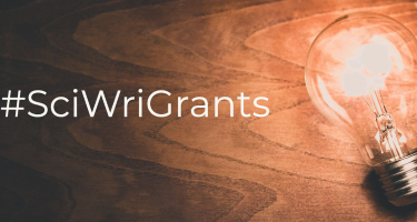 Photo illustration of a clear incandescent light buld on a polished wood grain surface with the hashtag #SciWriGrants superimposed in white.