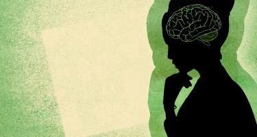 Neural organoids are a promising new model to study brain development and neurological disease