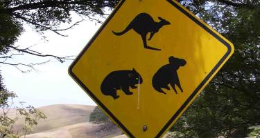 Australian street sign