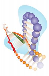 CRISPR-Cas9 editing