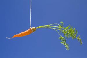 Carrot on a fishing line Carrot on a fishing line
