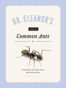  Common Ants cover