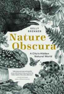 Nature Obscura