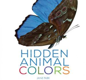 Hidden Animal Colors