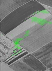 Methane plumes from feedlots