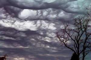 Undulatus asperatus clouds