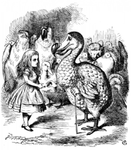 Alice and the Dodo. Credit: John Tenniel, 1865
