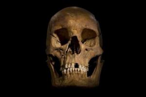 The skull in the parking lot. Credit: University of Leicester.