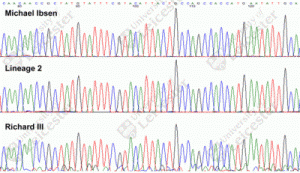 Comparison of mtDNA. Credit: University of Leicester.