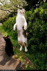 Caption contest, see below. Credit: Michele Banks