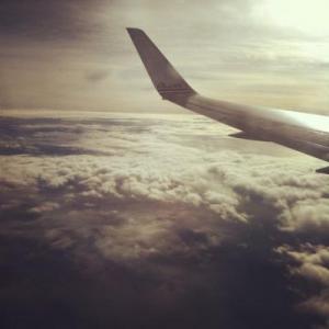 Winging toward #SciO13. Credit: Kelly Oakes