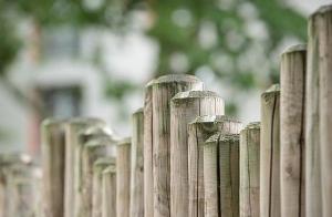 Stockade fence