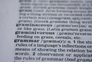 Dictionary entry for "grammar"