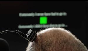 Close-up view of the back of a man