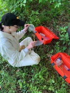 Student in white protective coat kneeling outdoors before red boxes in a mosquito reproduction experiment.